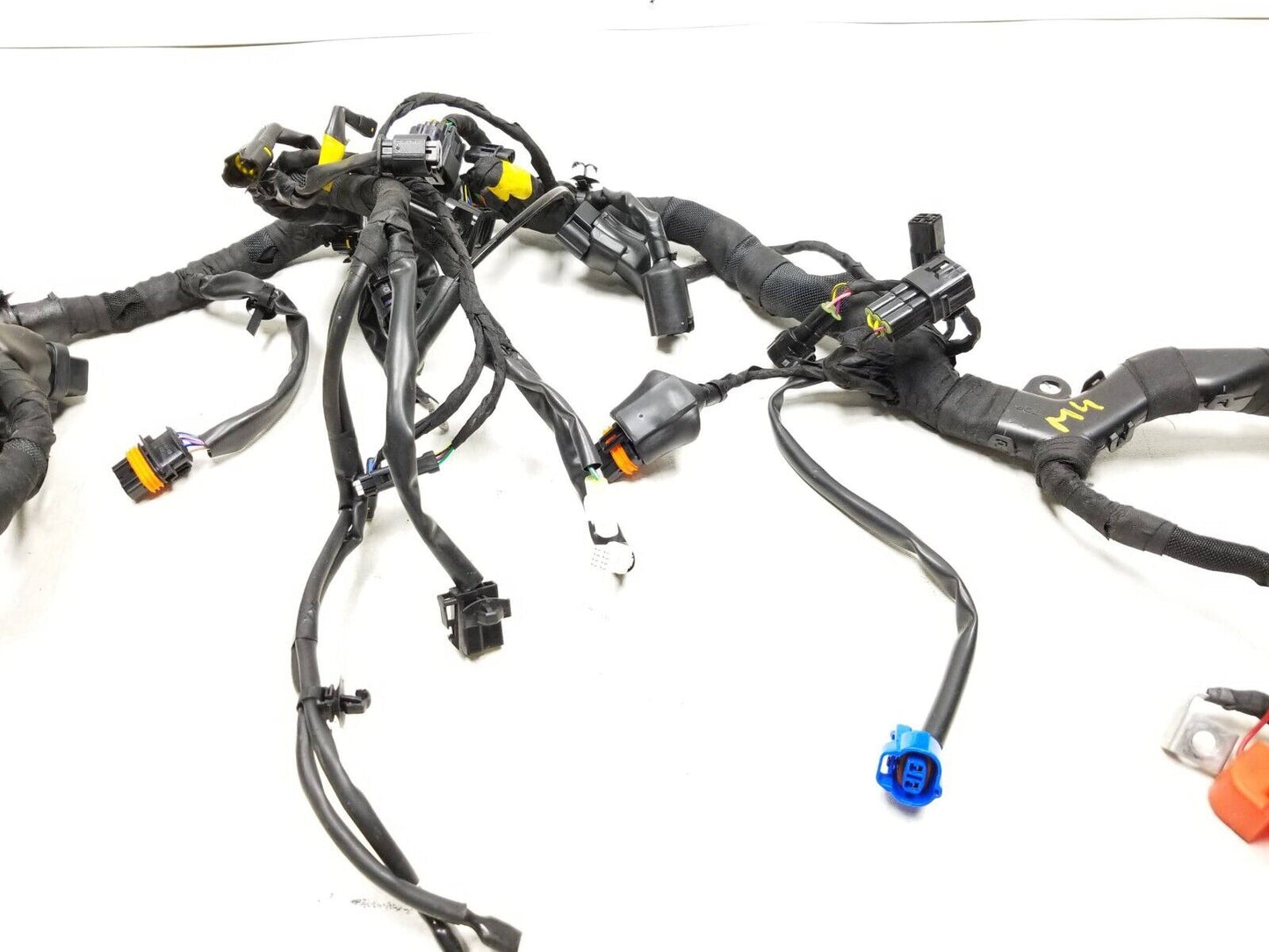 2024 Triumph Speed 400 Main Wire Harness OEM