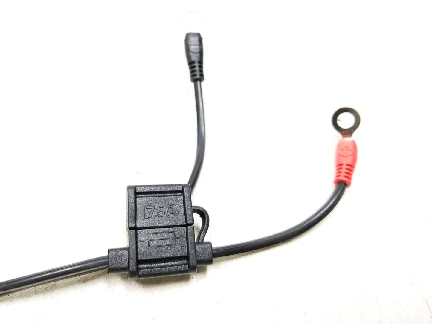 2024 Triumph Speed 400 Battery Charge Wire Loom OEM