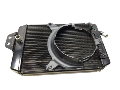 2024 Triumph Speed 400 Engine Cooling Radiator OEM