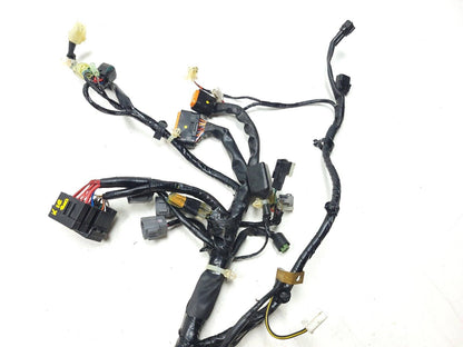 2023 Kawasaki Kle300 Versys-x 300 Main Wire Harness