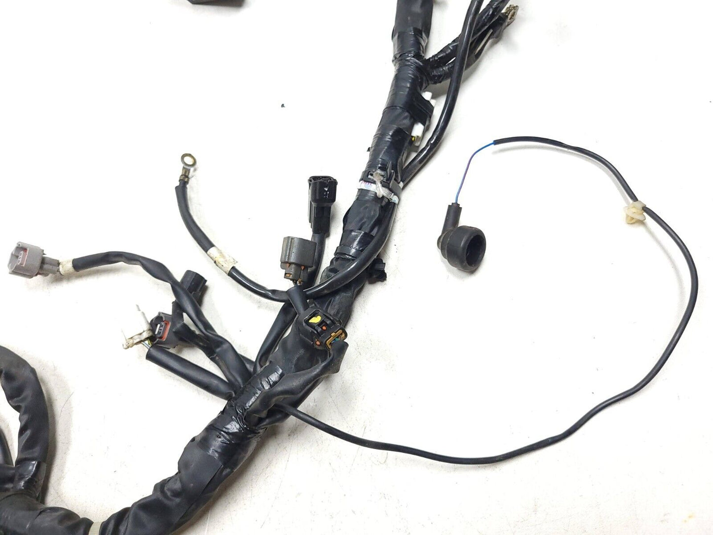 2023 Kawasaki Kle300 Versys-x 300 Main Wire Harness