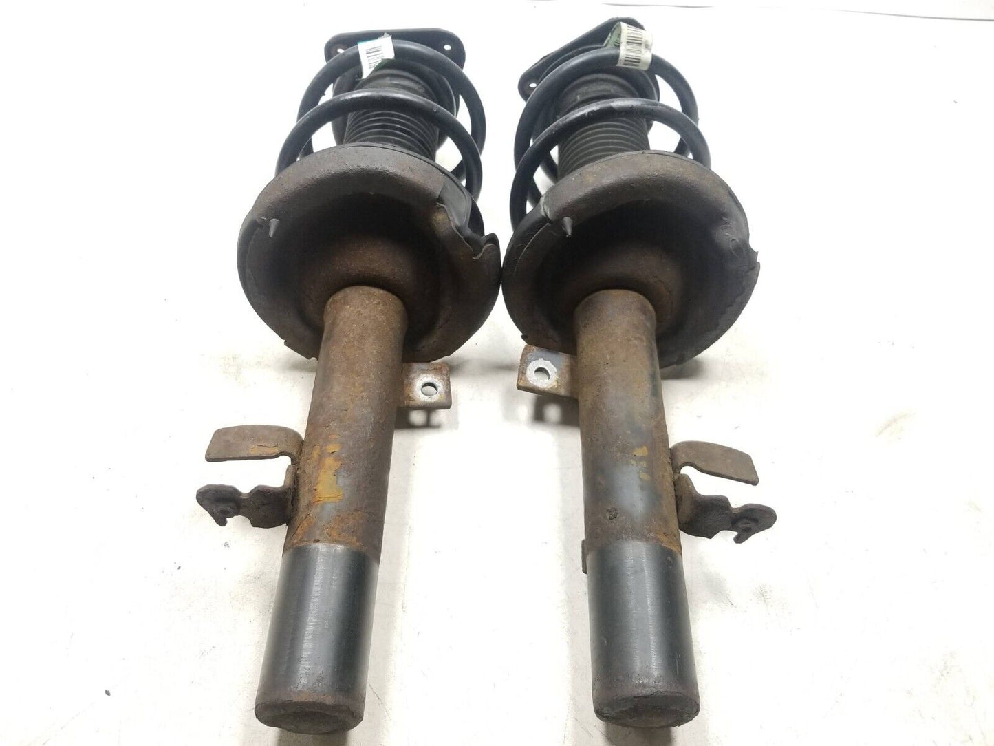 12 - 18 Ford Focus Front Shock Strut Absorber Pair OEM