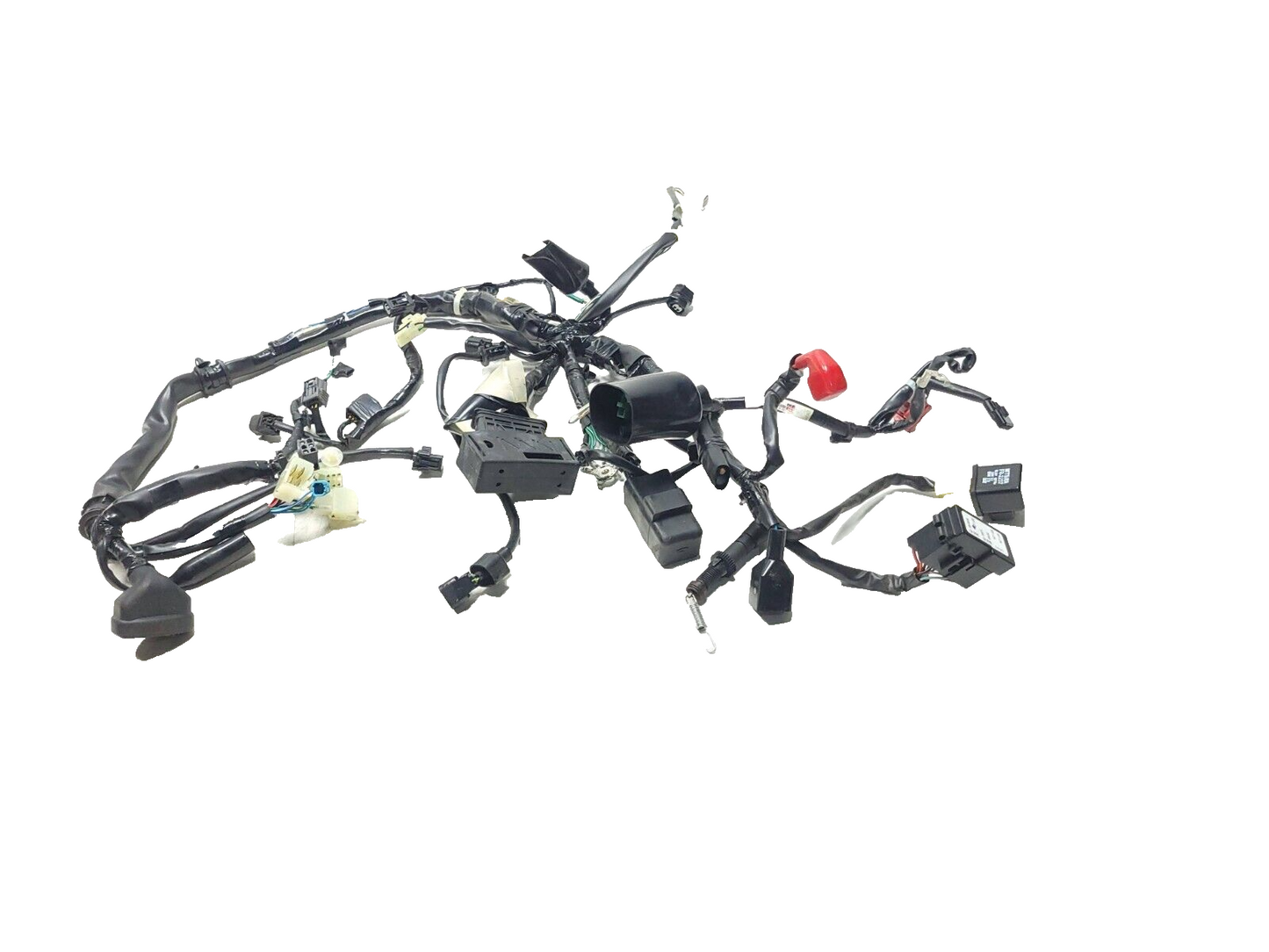 2022 - 2024 Honda Grom 125 Main Wire Harness Loom OEM