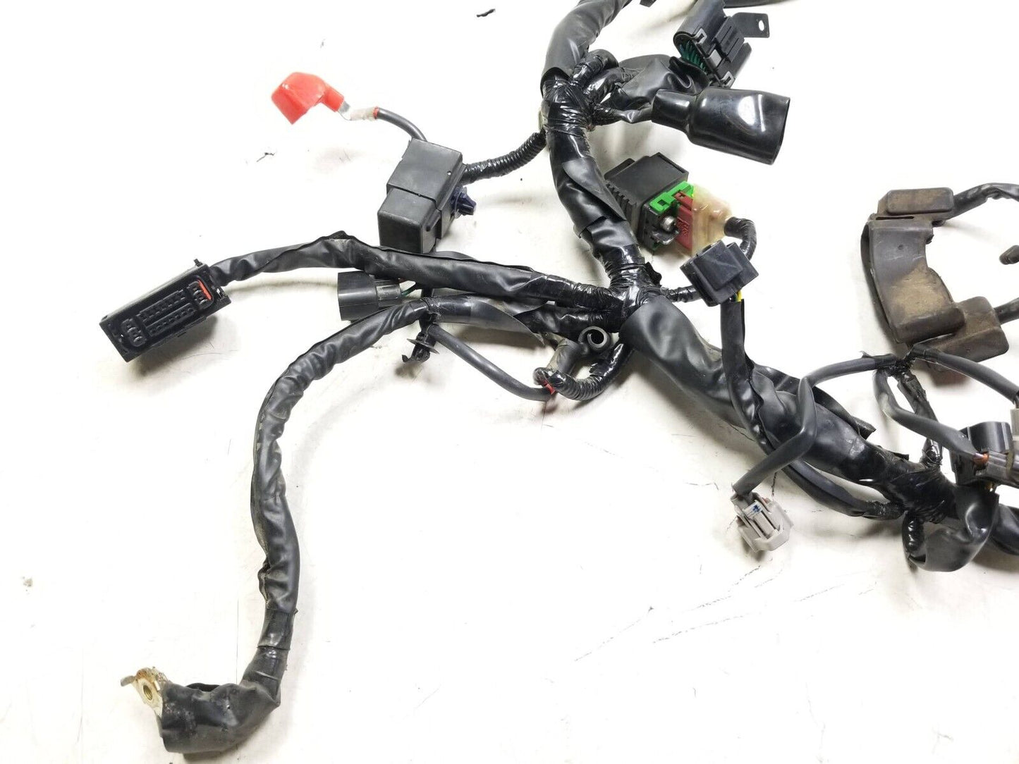 2019 - 2021 Honda Cbr500r Main Wire Harness OEM