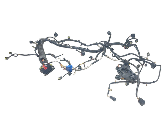 2006-2009 Range Rover Engine Wire Harness 4.2l Supercharged OEM
