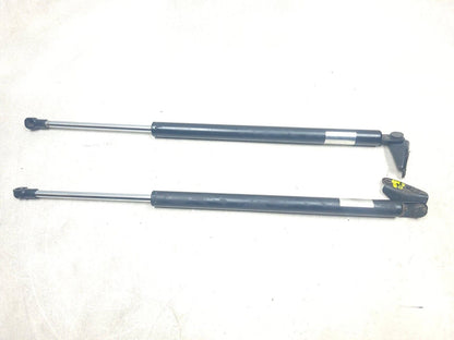 2007 - 2012 Mazda Cx-7 Tailgate Liftgate Hatch Lift Support Shock Strut 2pcs OEM