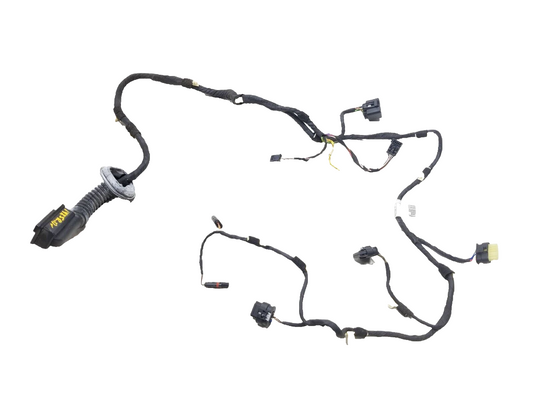 2014-2018 BMW X5 Door Wire Wiring Harness Rear Driver Side Left OEM