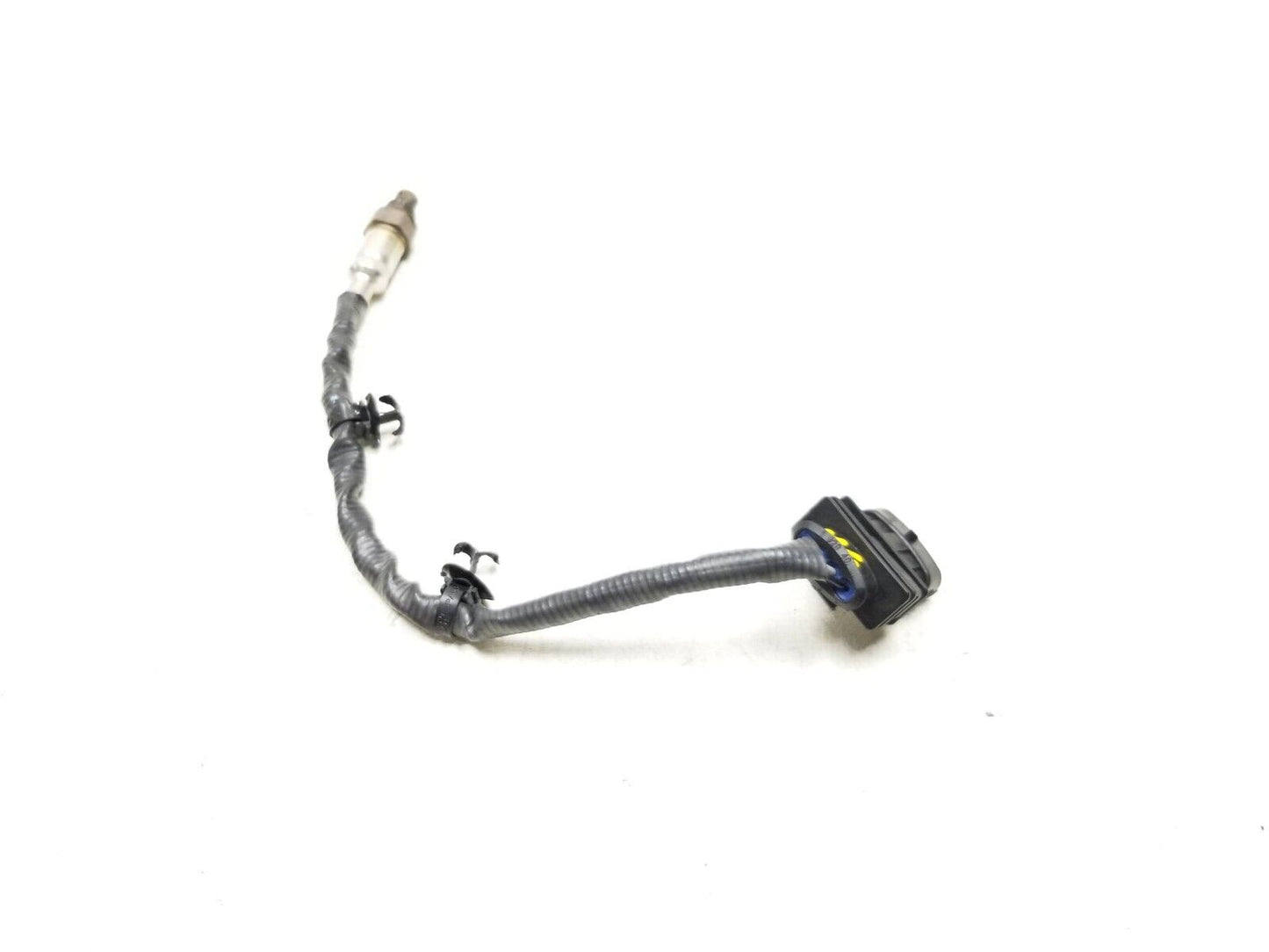 2024 Triumph Speed 400 Oxygen Sensor OEM