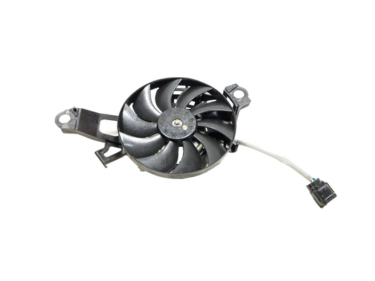 19 - 23 Honda Cbf300 Na Radiator Cooling Fan OEM