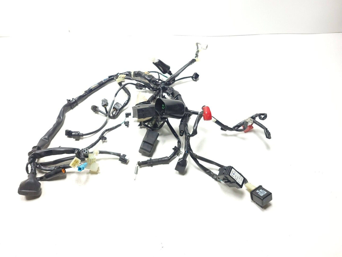 2022 - 2024 Honda Grom 125 Main Wire Harness Loom OEM