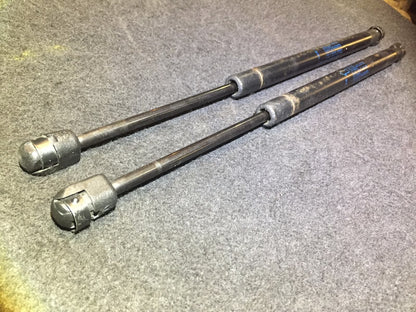 04-09 Jaguar Xj8 Rear Left & Right Side Trunk Lid Shock Strut Lift Support Pair