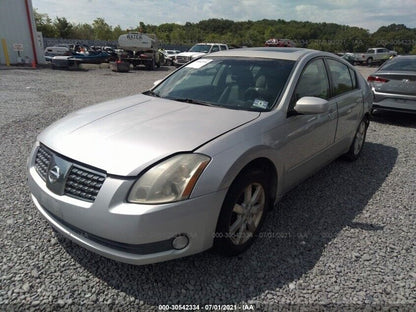 04 05 06 07 08 Nissan Maxima Rear Left Driver Door Weatherstrip Seal OEM