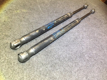 04-09 Jaguar Xj8 Rear Left & Right Side Trunk Lid Shock Strut Lift Support Pair